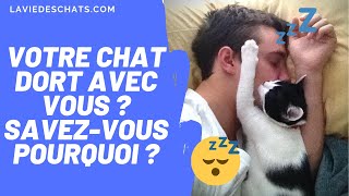 VOTRE CHAT DORT AVEC VOUS LA NUIT ?