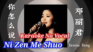 Ni Zen Me Shuo 你怎么说 ~karaoke no vocal ~~邓丽君 Teresa Teng (female)