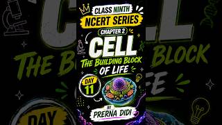 Day-11 NCERT Series | Class9 Science Exploration | 2026-27 #class9 #cbse #class9science #buddymentor
