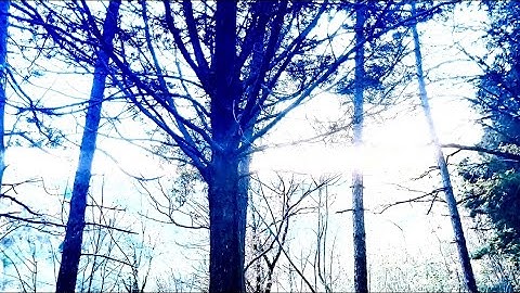 Faremo del Presente un cadavere da calpestare (Ode al Possibile)