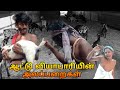     palakotta6154  comedy comedy