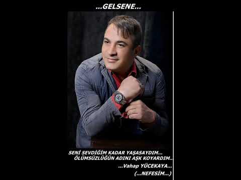 Vahap YÜCEKAYA -- Gelsene