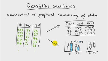 4.2. Descriptive Statistics (rr480, descriptive)