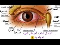 تلخيص الباب الثامن من طب الجراحة العامة تانيه تمريض أمراض العين الجراحية