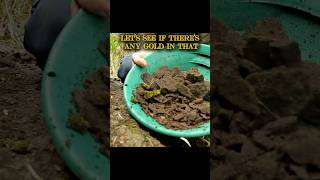 My Secret Gold Panning Spot in Colorado part 3 #shorts
My Secret Gold Panning Spot in Colorado part 3 #shorts My Secret Gold Panning Spot in Colorado part 3 #shorts