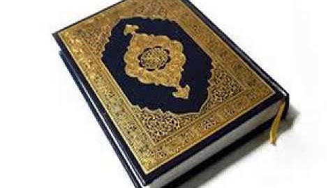 سورة الحج   الشيخ محمد بن مبارك الشرافي