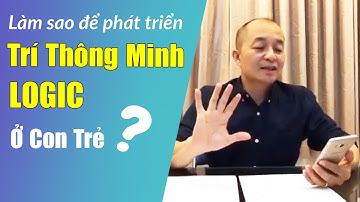 Phát Triển Trí Thông Minh Logic Ở Trẻ