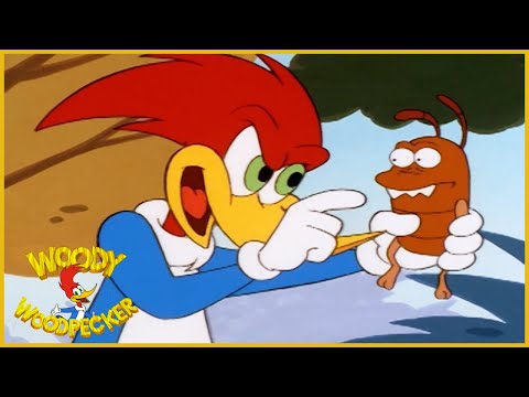 Woody Woodpecker Show | Woody And The Termite | Full Episode | Cartoons For Children