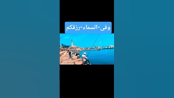 وفى-السماء-رزقكم-وما توعدون #بصوت مريح #المصحف #اكسبلور #تلاوة_خاشعة #تلاوة_هادئة