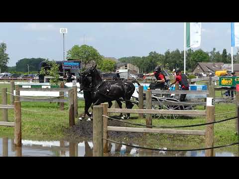 LÖRCHER Arndt, GER, DVI Valkenswaard, CAI3# H2, Marathon Ob8, 01 06 2019