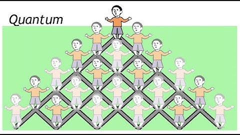 Quantum Walks: Quantum mechanics in Networks