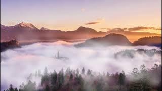 Koga sings 타이비언 Taibian 배영하는 물고기