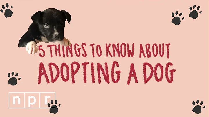 5 Things To Know Before You Adopt A Dog | Life Kit | NPR