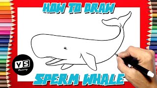 How to draw Sperm Whale