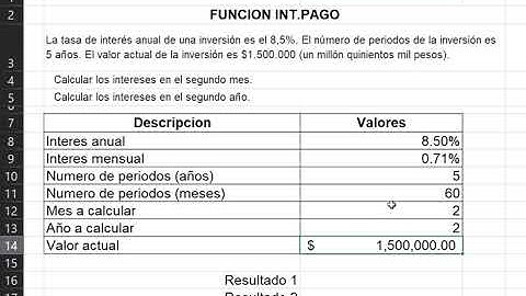 Funcion INT PAGO DIR en Excel