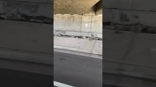 Police Raid / Destroy Redding Homeless Camp Under Cypress St Bridge