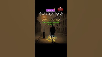 💔 A Cry From The Heart Before Death 😭 صرخة القلب قبل الموت سورة غافر آية ٤٤ | Surah Ghafir ayah 44
