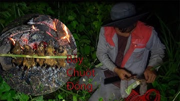 Trải nghiệm bẫy chuột đồng đầu mùa tại tây nguyên | Cao Thanh Vlog