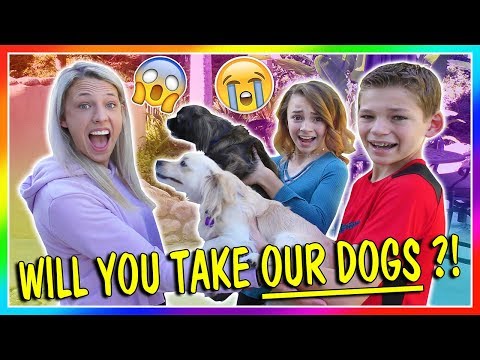Video: Hvordan laver din hund Laugh (virkelig)