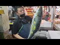 【職人技】30年魚を捌き続けた男の特大ブリ捌き方　How to prepare large fish