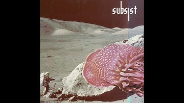 Translate - Deconstruction of Falling Stars