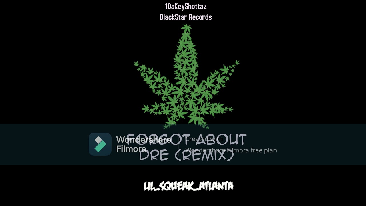 lil squeak atlanta   Forgot About Dre remix Not for Profit