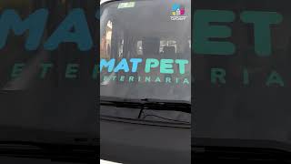 Diseño E Instalación De Rotulación Vehicular Paso A Paso