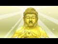 出家なう。~金色のおっさんと仏の秘め事~ 公式PR動画