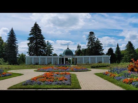 Video: Information On Parkland Roses