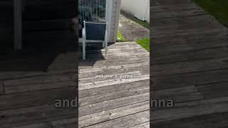 DECK REPLACEMENT PLAN