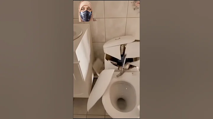 STREET TOILET #mayamax #cocometa #funny #comedy #memes #toilet ...