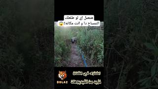 تمساح هجم عليه و هو بيصطاد و حاول يهرب و لكن .. حيوانات حيوانات_مضحكه حيوانات تمساح تماسيح