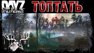 Остров Притоптать - Dayz Неудержимые ✌ Стрим Патч 1.21