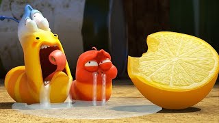 larva lemon 2017 cartoon cartoons for children kids tv shows full episodes