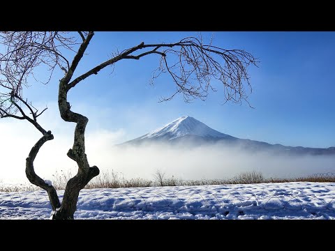 油絵　uF6-063303　風景　（ 雪景色　冬の湖 ） 雪国の朝の光 透明水彩画 #watercolor #watercolour #landscape