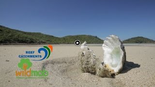 Reef Catchments Mackay Marine Classroom