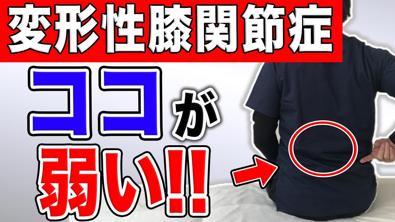 自分で治す!!】9割の変形性膝関節症の方はここが弱いから良くならない