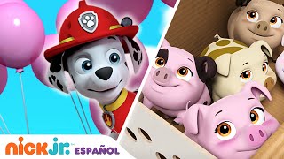 PAW Patrol, Patrulla de cachorros | Pequeños ayudantes | Nick Jr. en Español