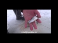 Универсальный малявочник ловля живца зимой
