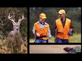 Texas Parks and Wildlife Live Stream