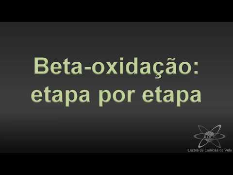 Vídeo: Diferença Entre Síntese De ácido Graxo E Oxidação Beta