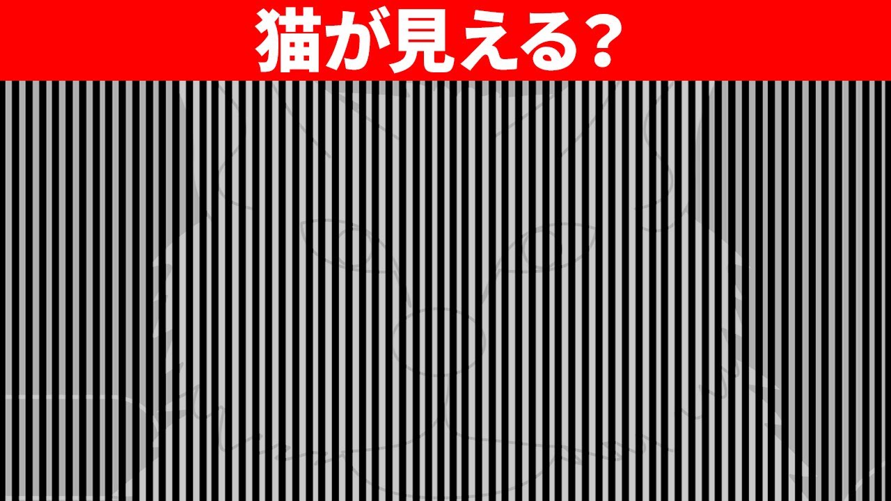 脳が魔術師であることを証明する目の錯覚 - YouTube