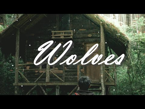 네가 웃을 수 있다면, 난 그걸로 됐어 :Selena Gomez, Marshmello - Wolves  [가사해석/번역/자막]