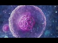 Stem Cell Production - 1 - Meditation - Music Therapy - Experimental Meditation
