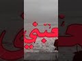 صبرت بظلمك هوايه