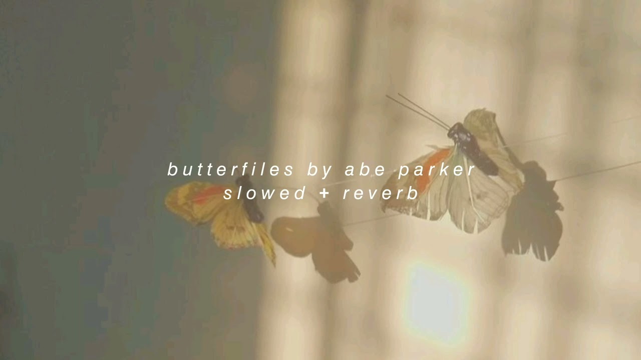 butterflies by abe parker (slowed + reverb)