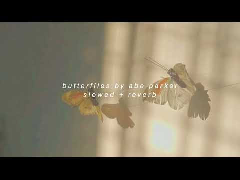 Abe Parker - Butterflies Acoustic (Lyrics)