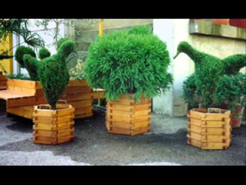 Video: Arte Topiaria, L'uso Di Piante Ornamentali Tagliate Per La Decorazione Della Casa E Del Giardino