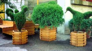 Download lagu ARTE GIARDINO TOPIARIA ARTE GIARDINO TOPIARIA