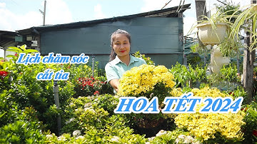 LỊCH CẮT TỈA, CHĂM SÓC 1 SỐ LOẠI CÂY TRỒNG SÂN VƯỜN NỞ HOA ĐÚNG TẾT 2024